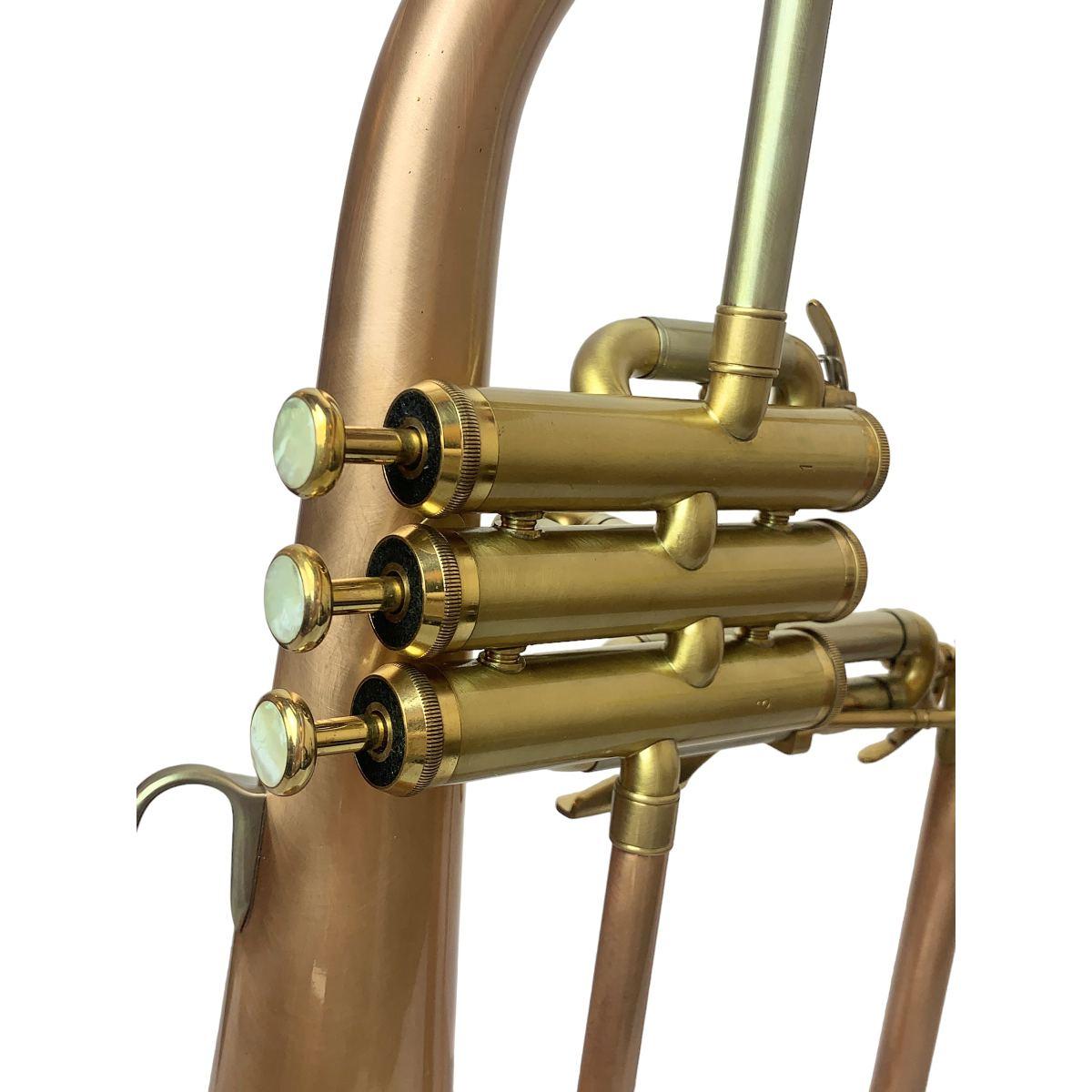 BBRASS FH1000 FLICORNO SOPRANO Brushed Brass