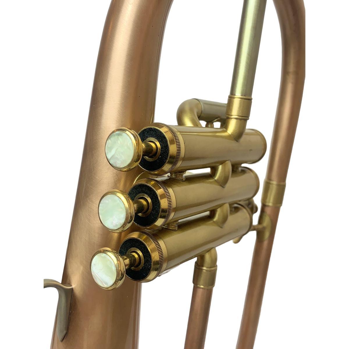 BBRASS FH1000 FLICORNO SOPRANO Brushed Brass
