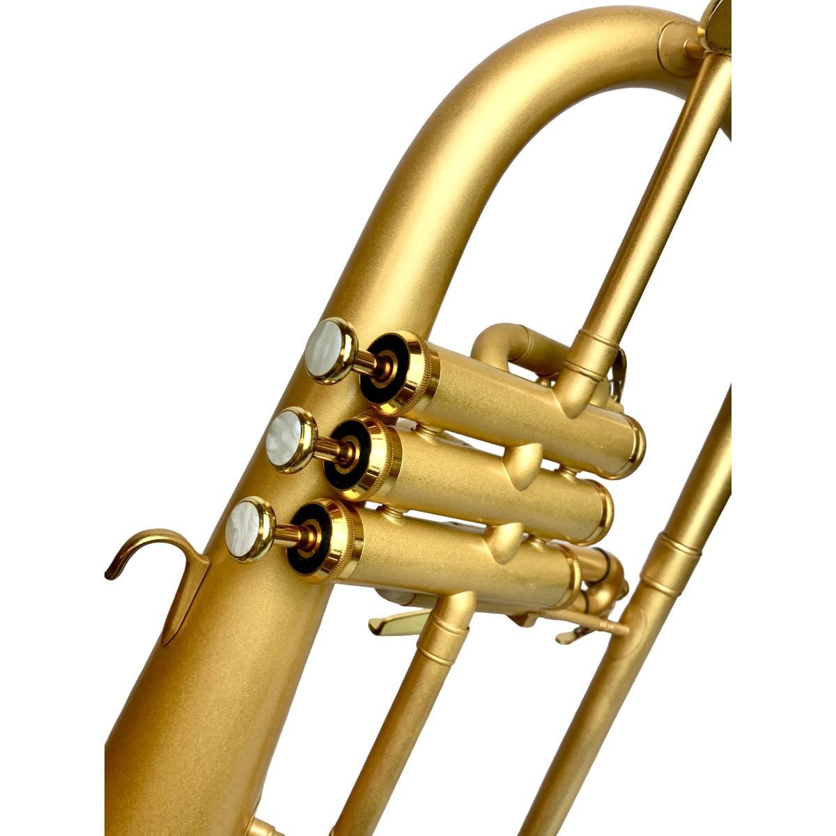 Bbrass fh1000 flicorno soprano brush gold