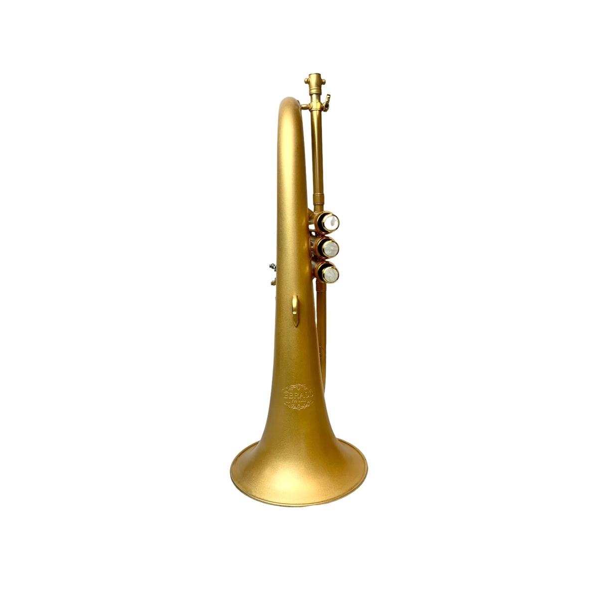 Bbrass fh1000 flicorno soprano brush gold