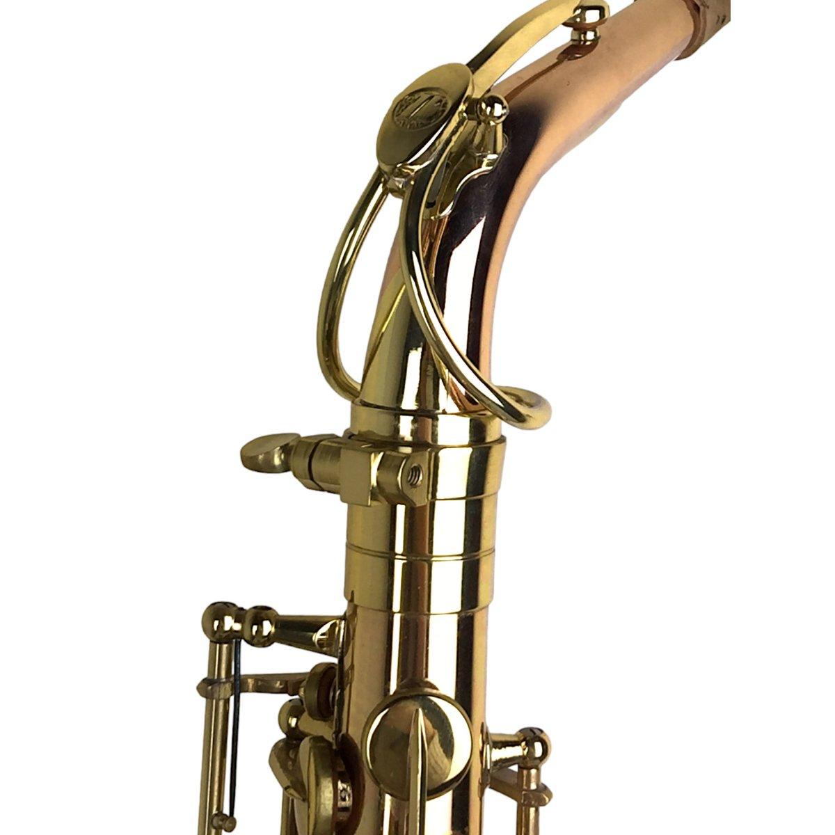 Bbrass custom iii sax alto gold brass