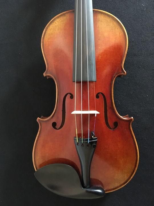 Fenice violino aaa  anticato 4/4 con custodia
