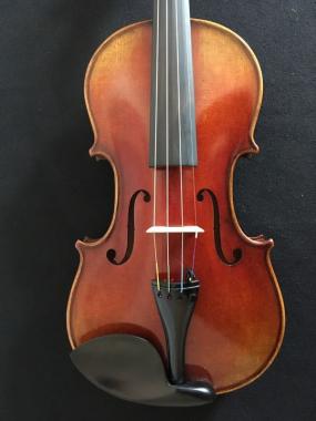 Fenice violino aaa  anticato 4/4 con custodia