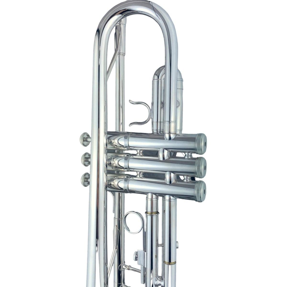 Cigalini tromba in sib serie studio argentata