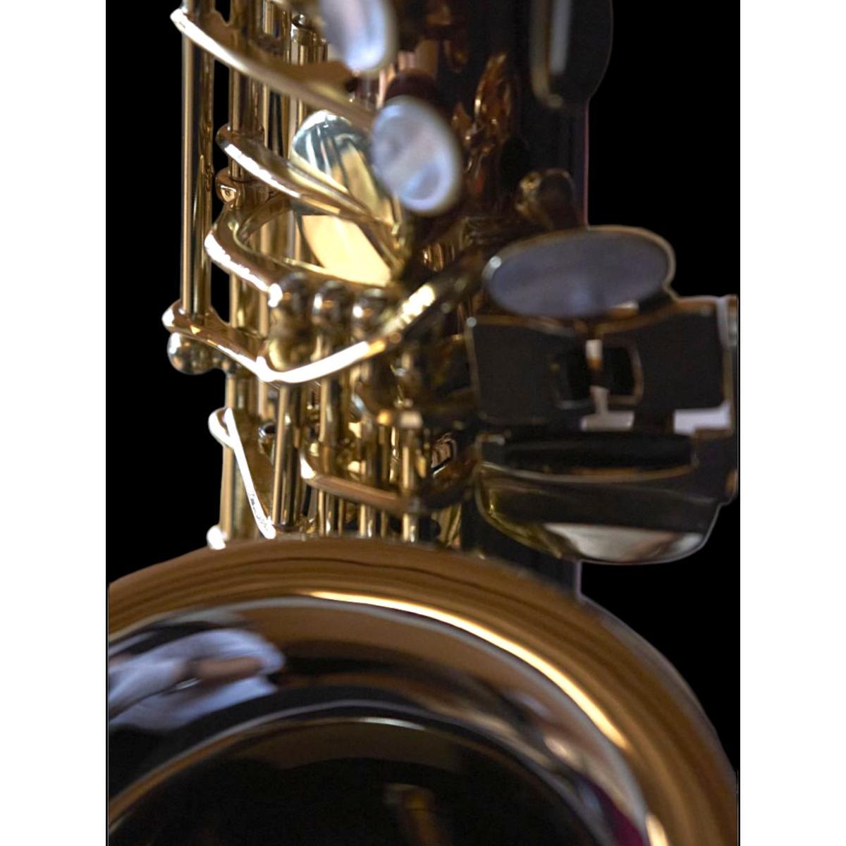 BBRASS CUSTOM IV SAX ALTO Fosforo/bronzo camp.rame bianco - laccato trasparente