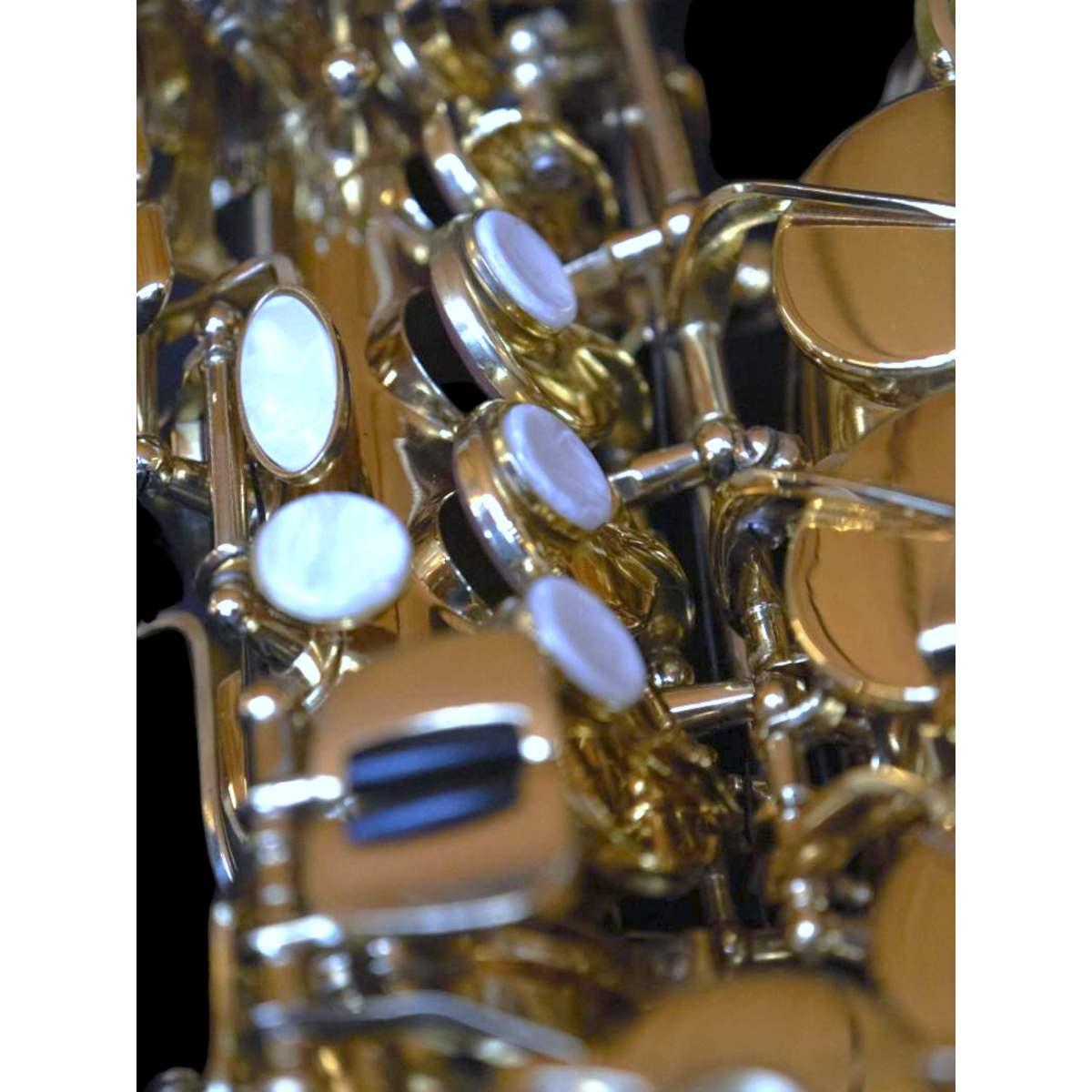 BBRASS CUSTOM IV SAX ALTO Fosforo/bronzo camp.rame bianco - laccato trasparente