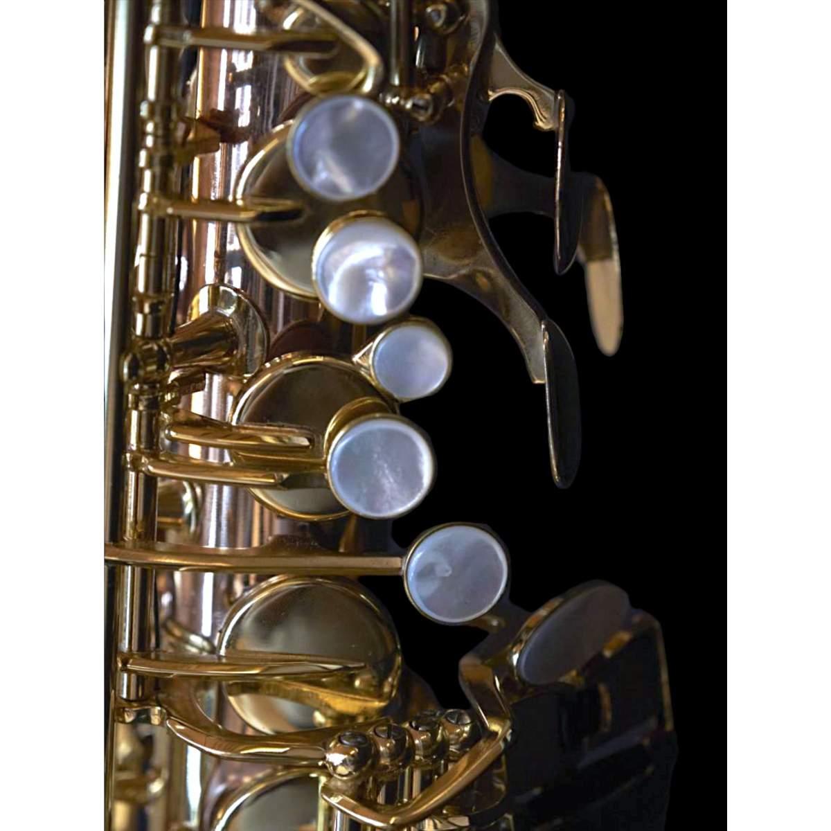BBRASS CUSTOM IV SAX ALTO Fosforo/bronzo camp.rame bianco - laccato trasparente