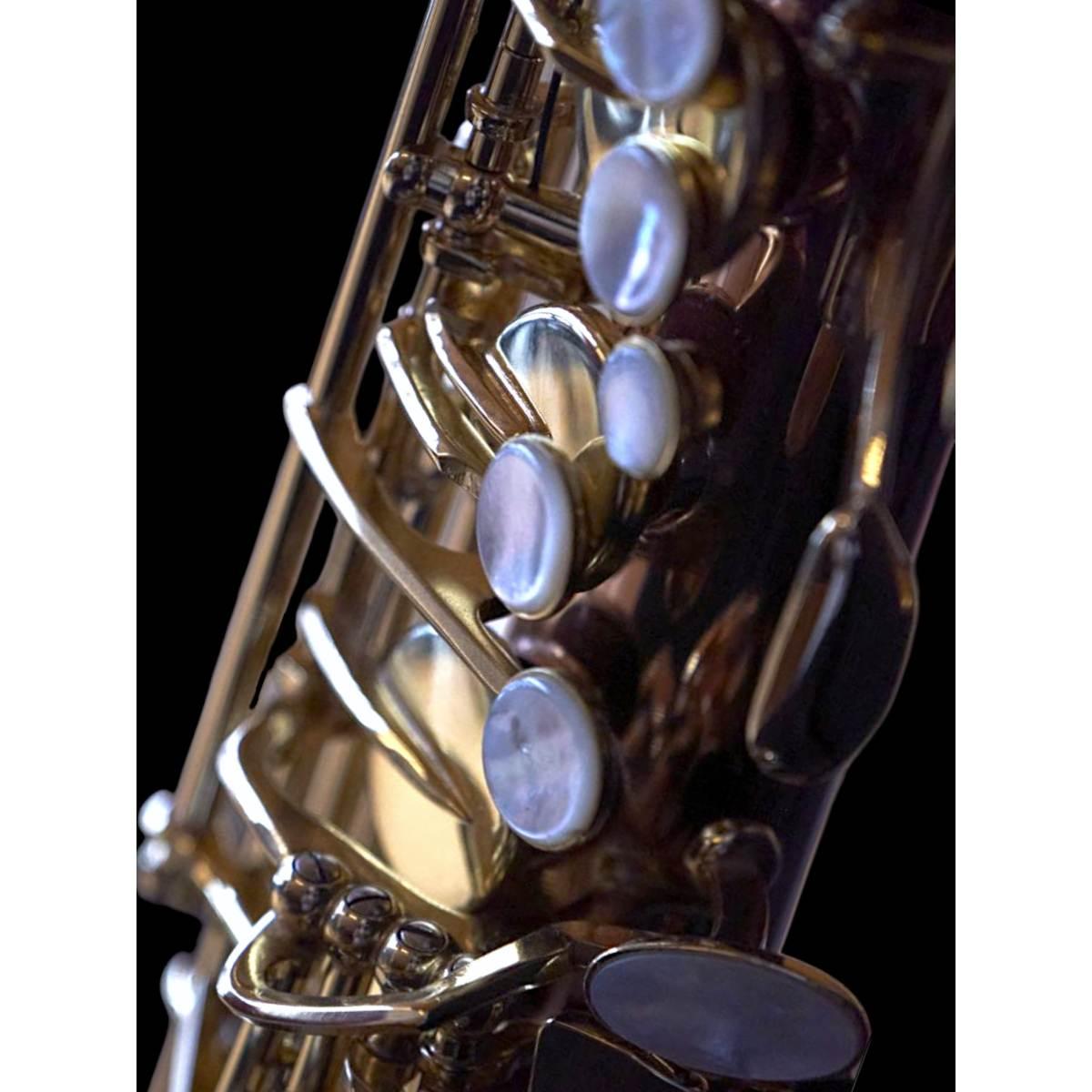 BBRASS CUSTOM IV SAX ALTO Fosforo/bronzo camp.rame bianco - laccato trasparente