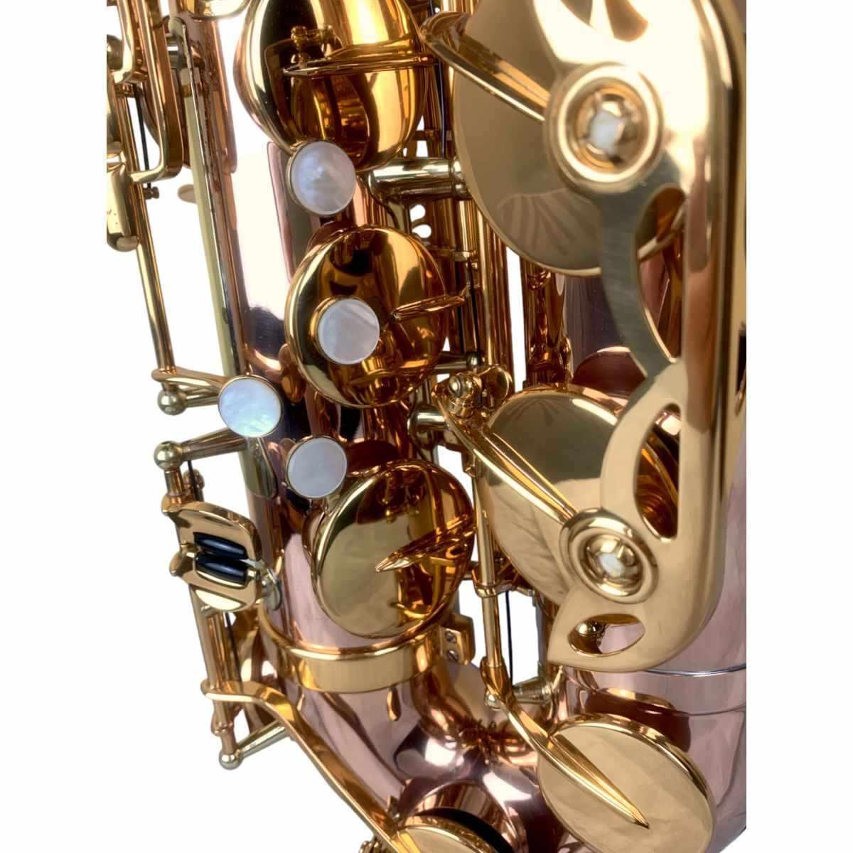 BBRASS CUSTOM II SAX TENORE Fosforo/Bronzo