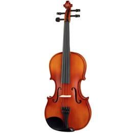 Fenice viola  mod. c35.5 con custodia ed archetto