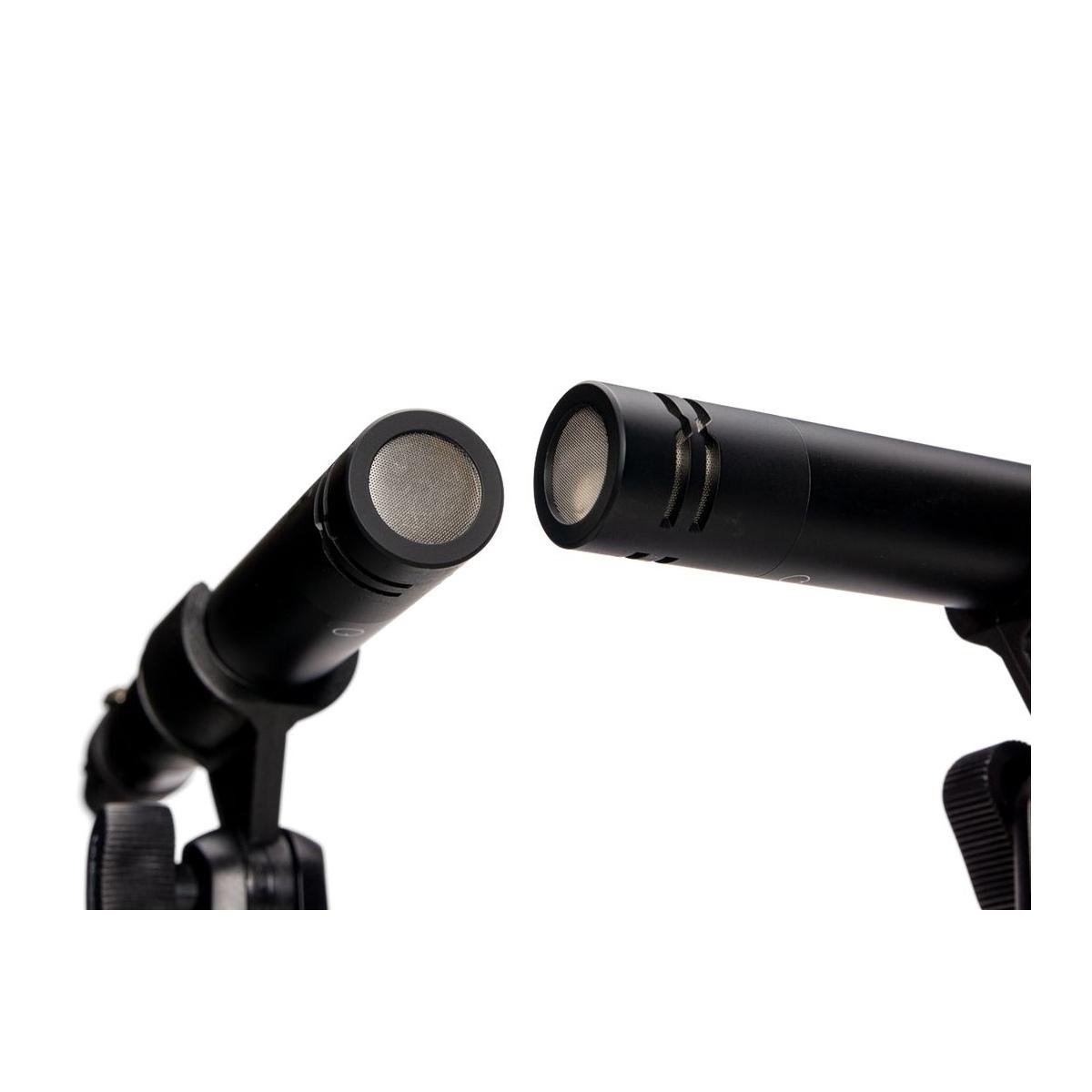 ZOOM ZPC-1 - Coppia Microfoni a Condensatore  Pencil