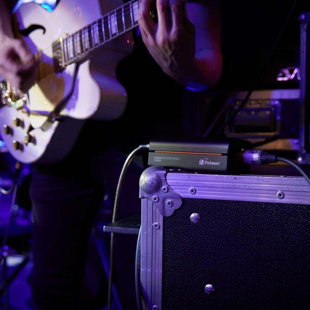 PALMER RIVER ilm - DI BOX SIMULATORE DI SPEAKER PASSIVO