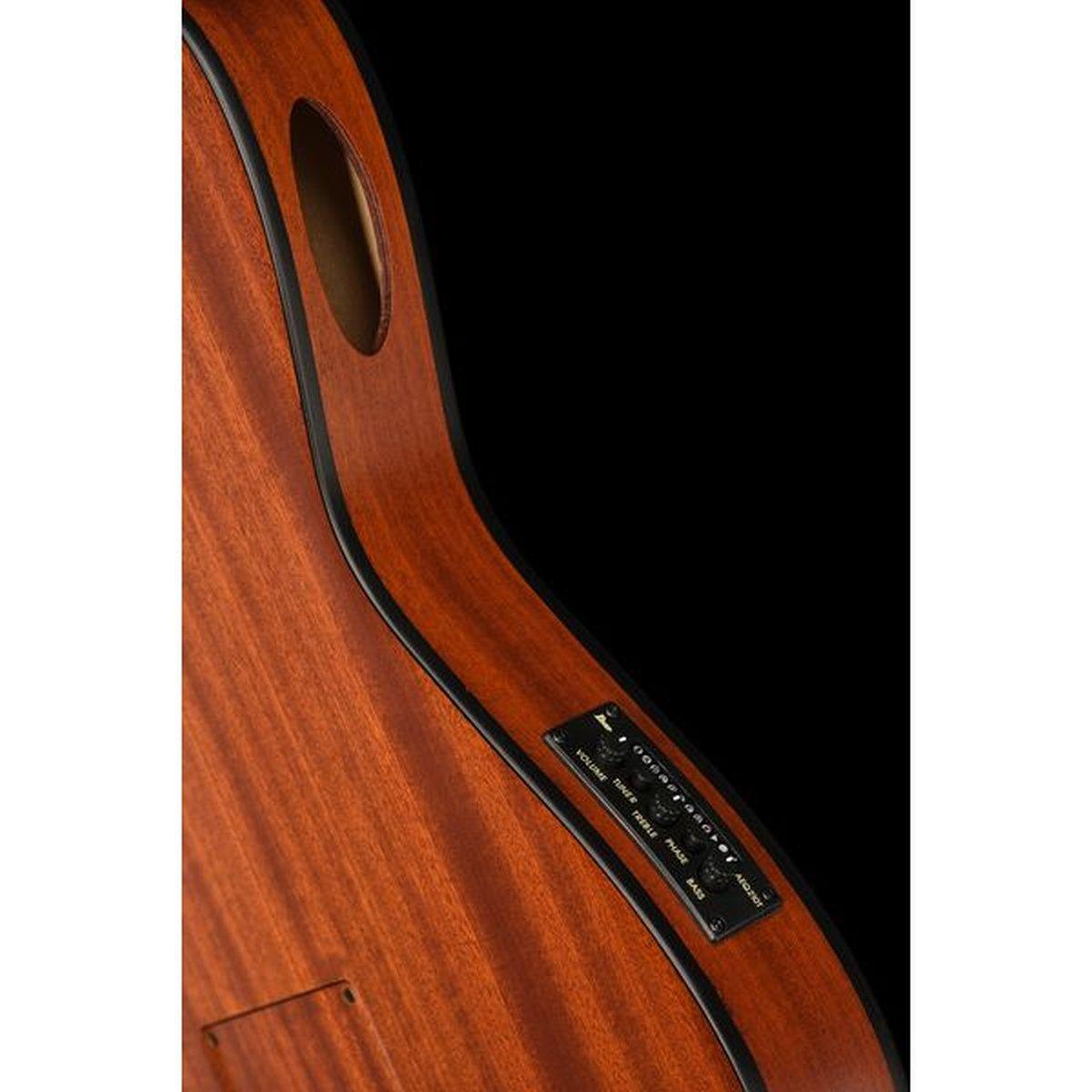 Ibanez frh10nntf chitarra classica elettrificata