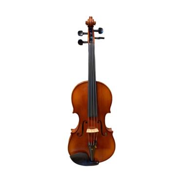 PLC MONTEVERDI VIOLA 14" completa di custodia e arco