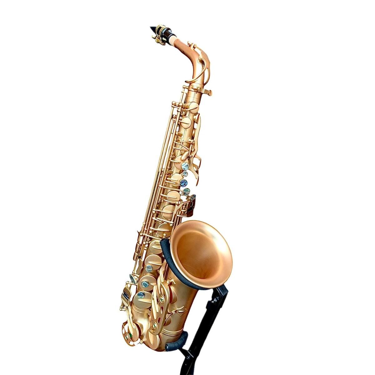 Bbrass evolution sax alto mat satin gold