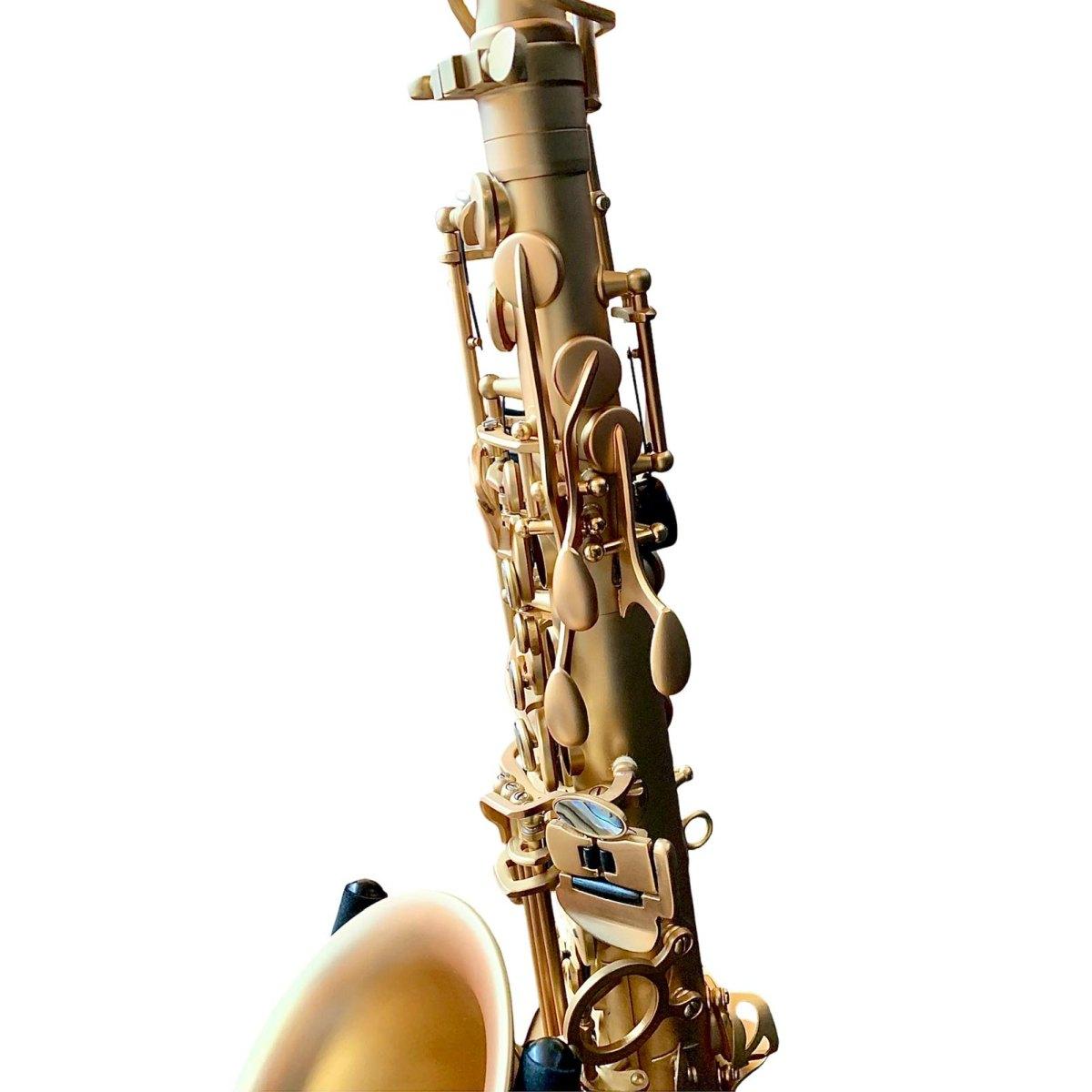 Bbrass evolution sax alto mat satin gold