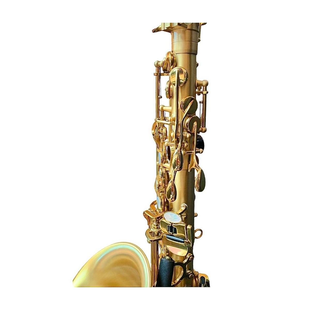 Bbrass evolution sax alto satin gold