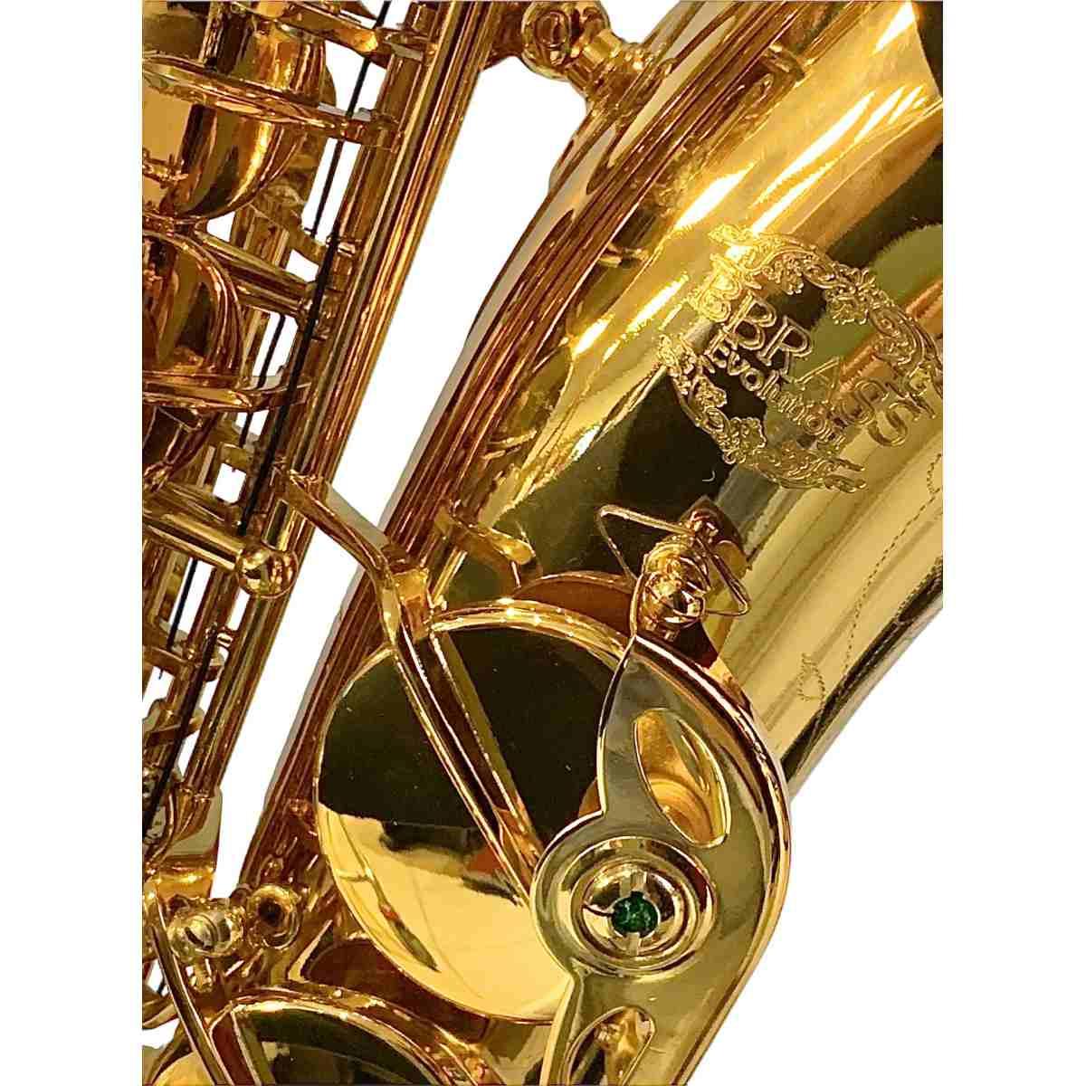 Bbrass evolution alto sax gold laquered