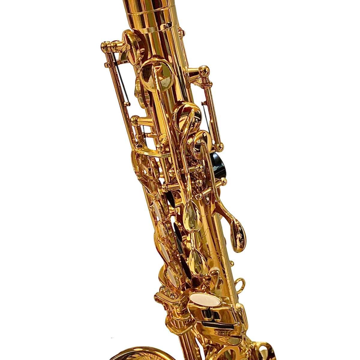 Bbrass evolution alto sax gold laquered