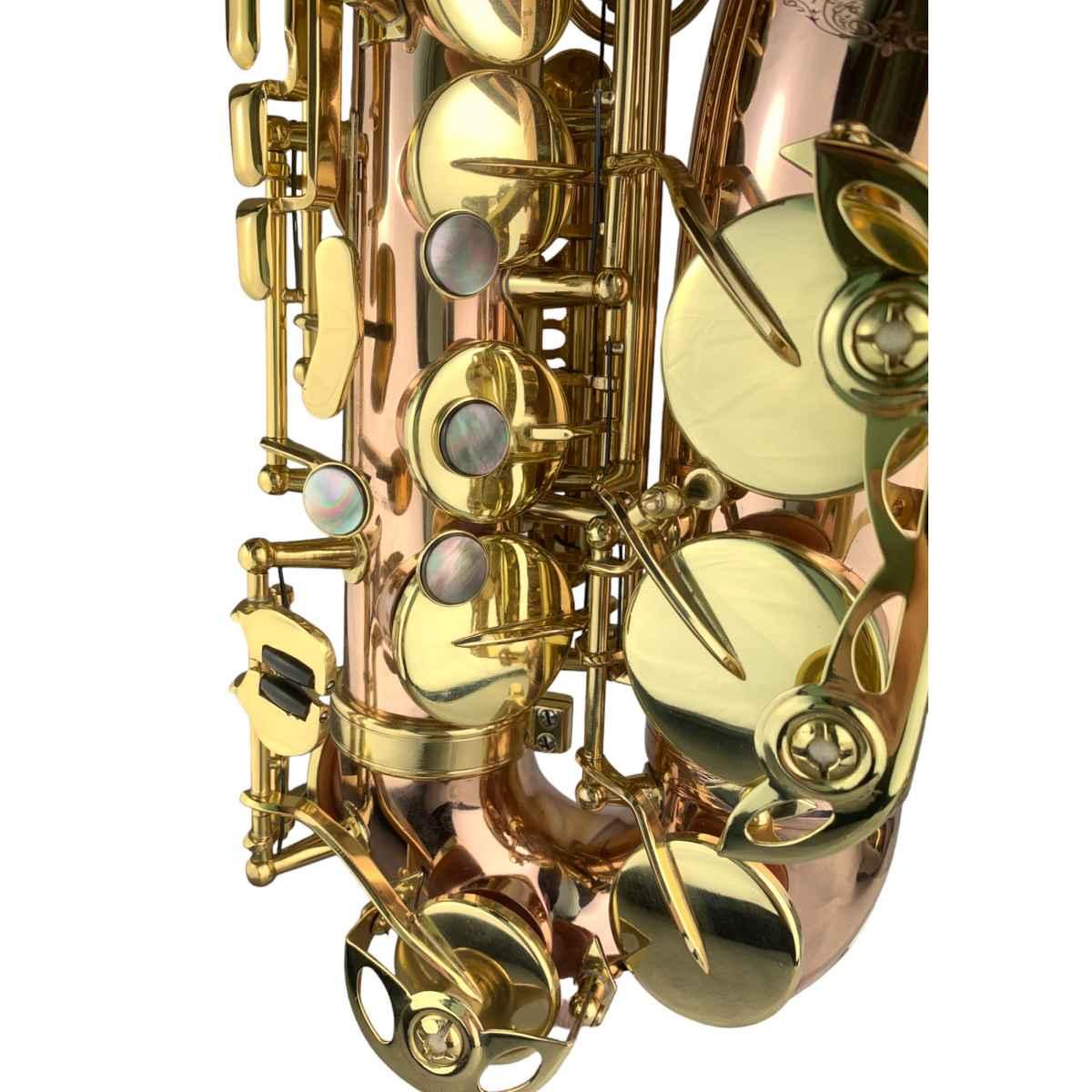BBRASS CUSTOM II SAX ALTO Fosforo/bronzo raw