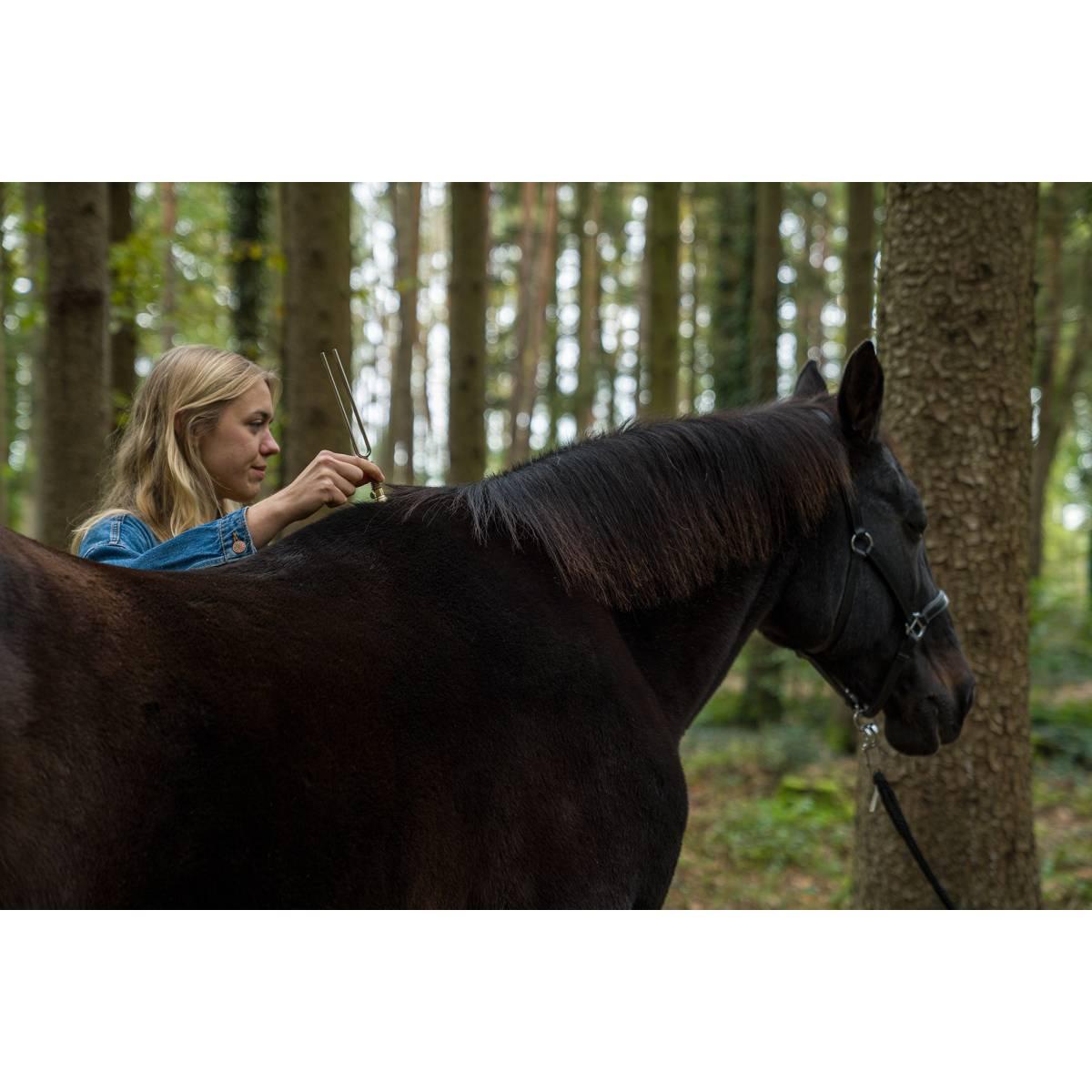 SONIC ENERGY VF-RS Piede vibrante a diapason rotondo piccolo 46 gr oro