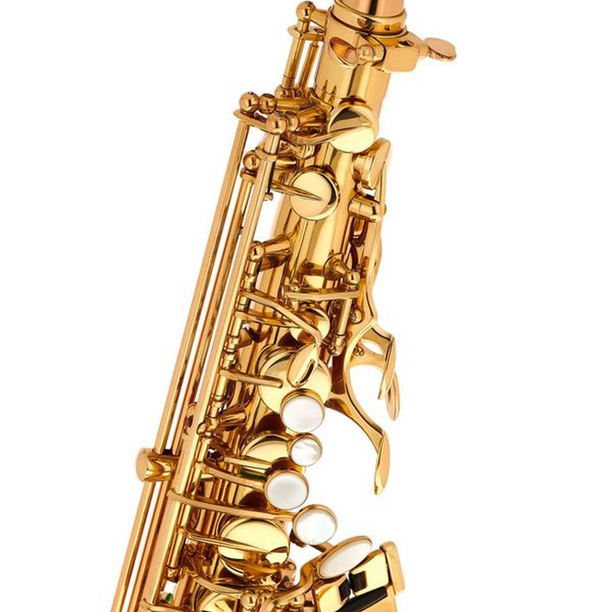 Schagerl  a920l-ii new jubilee edt sax alto