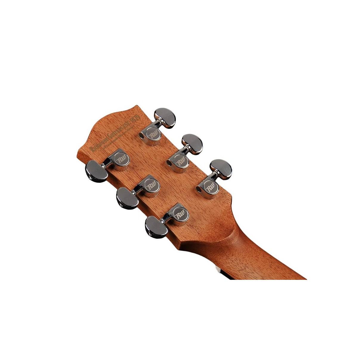 Richwood g22ce grand auditorium chitarra acustica elettrificata