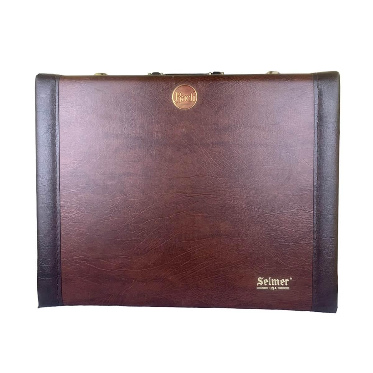 Selmer custodia per flicorno soprano