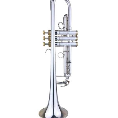 YAMAHA YTR8345S TROMBA CUSTOM con PARTI IN GOLD PLATED (USATO)