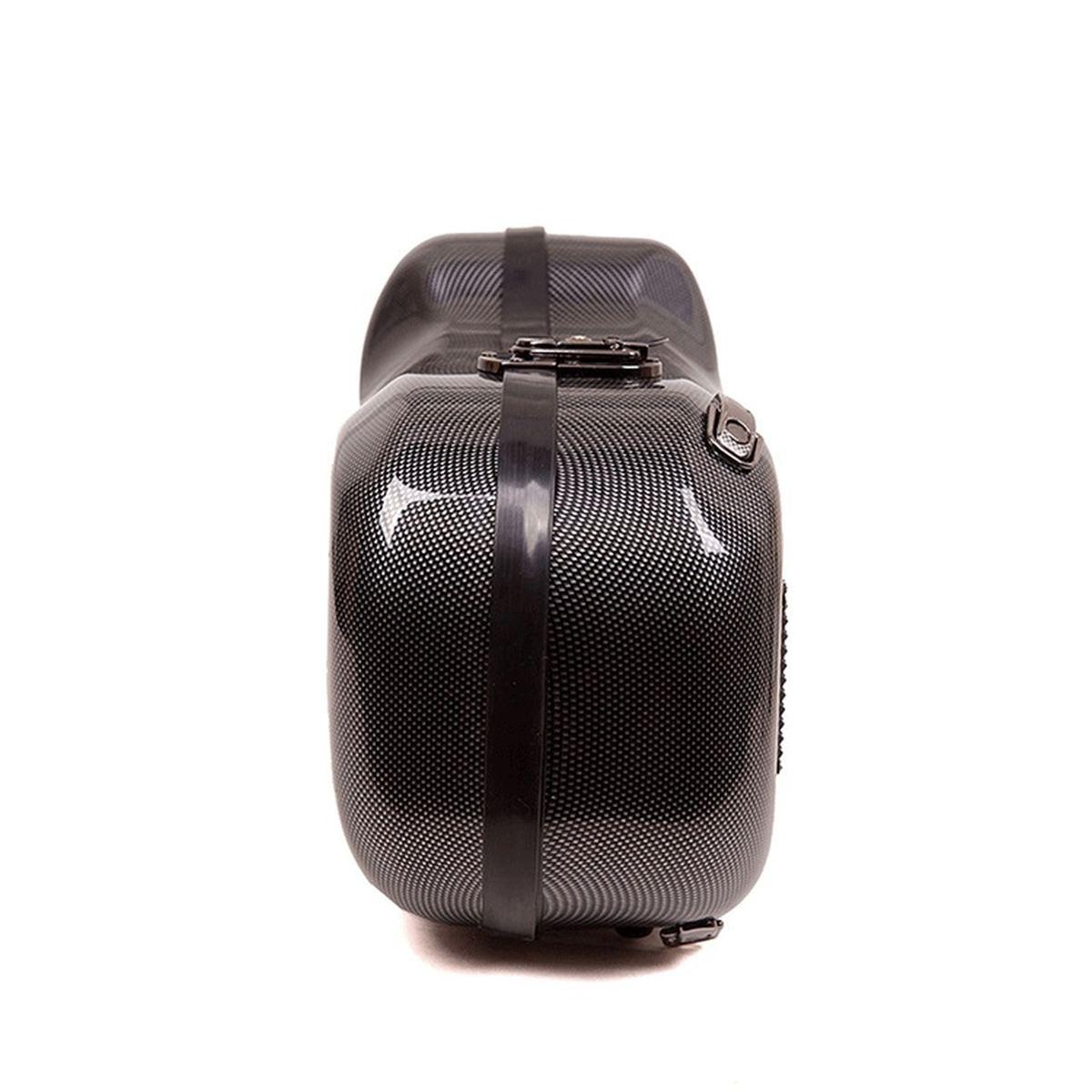 Omebaige custodia in fibracarbonio per sax tenore