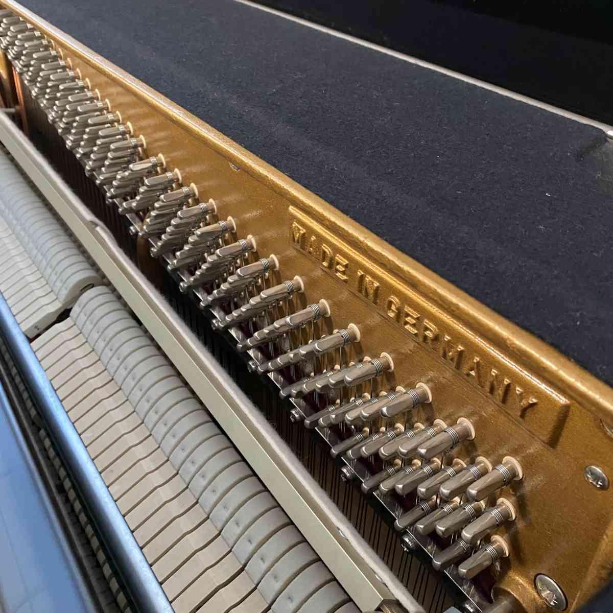 Sauter 112 carus ver nero lucido