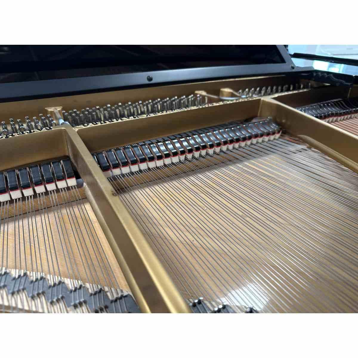 Steinway & sons o170 pianoforte a coda