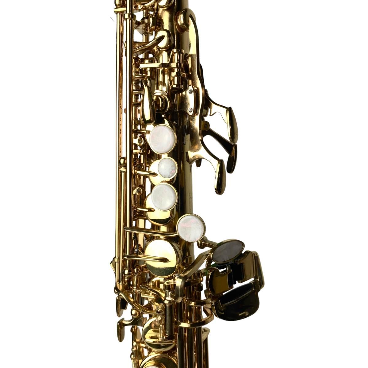Cigalini sax soprano serie studio