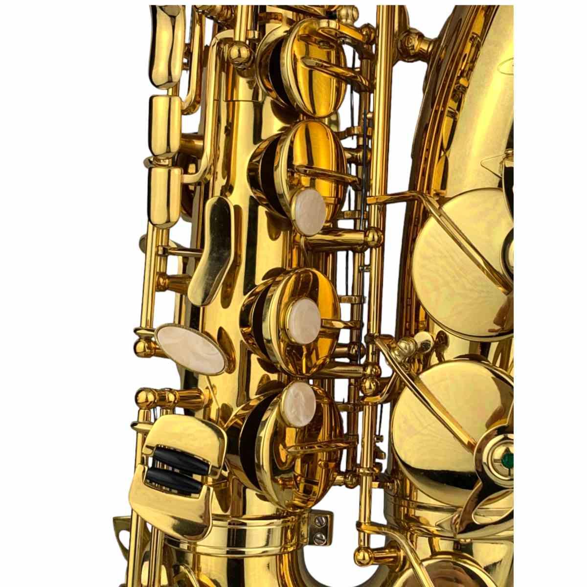 Cigalini sax contralto serie studio laccato