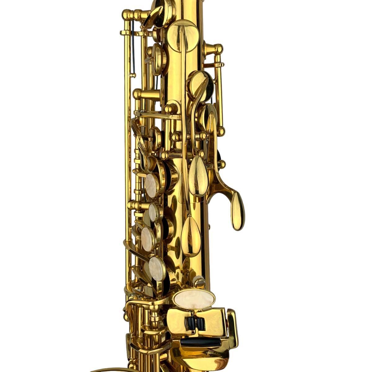 CIGALINI AS-ST Start Kit Sax Alto con Leggio e Supporto