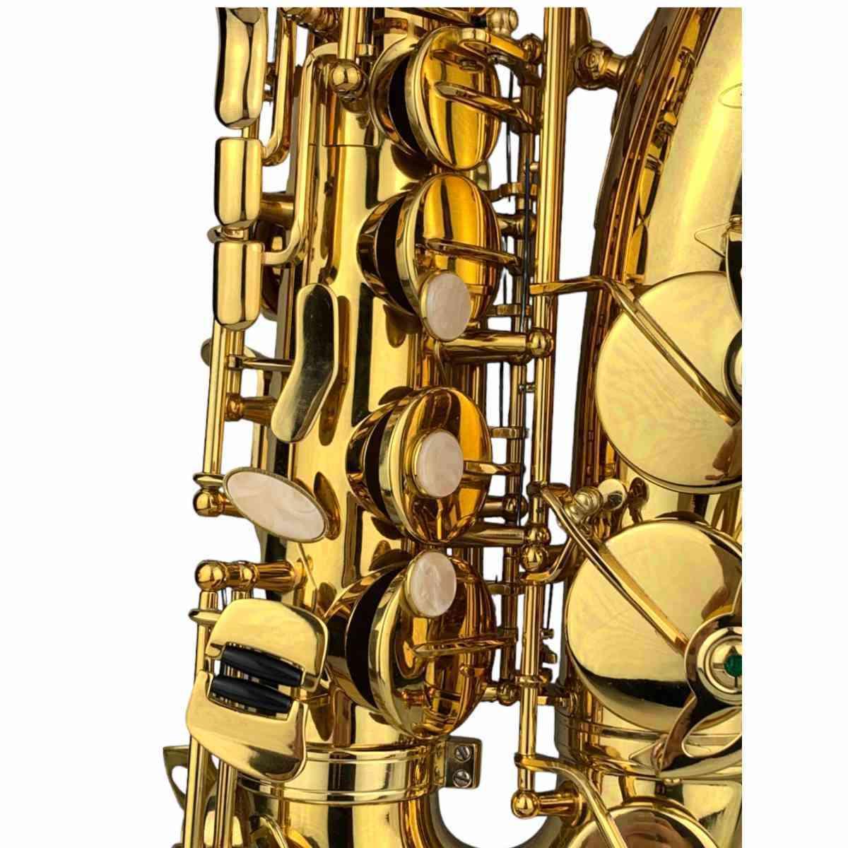 CIGALINI AS-ST Start Kit Sax Alto con Leggio e Supporto