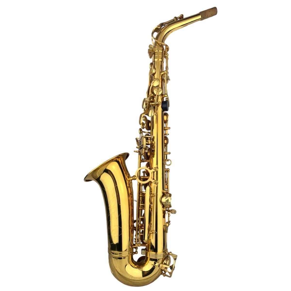 CIGALINI AS-ST Start Kit Sax Alto con Leggio e Supporto