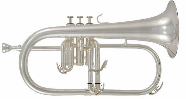 VENUS FG300S FLICORNO Sib Silver