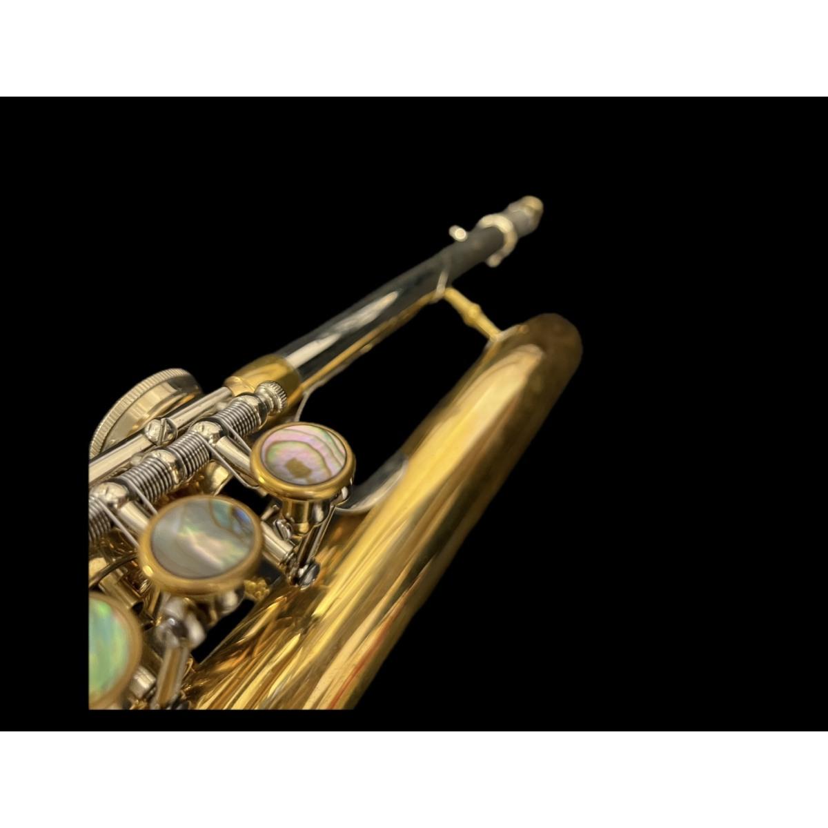 Schagerl flicorno soprano killerking sn scy 13811 raw brass