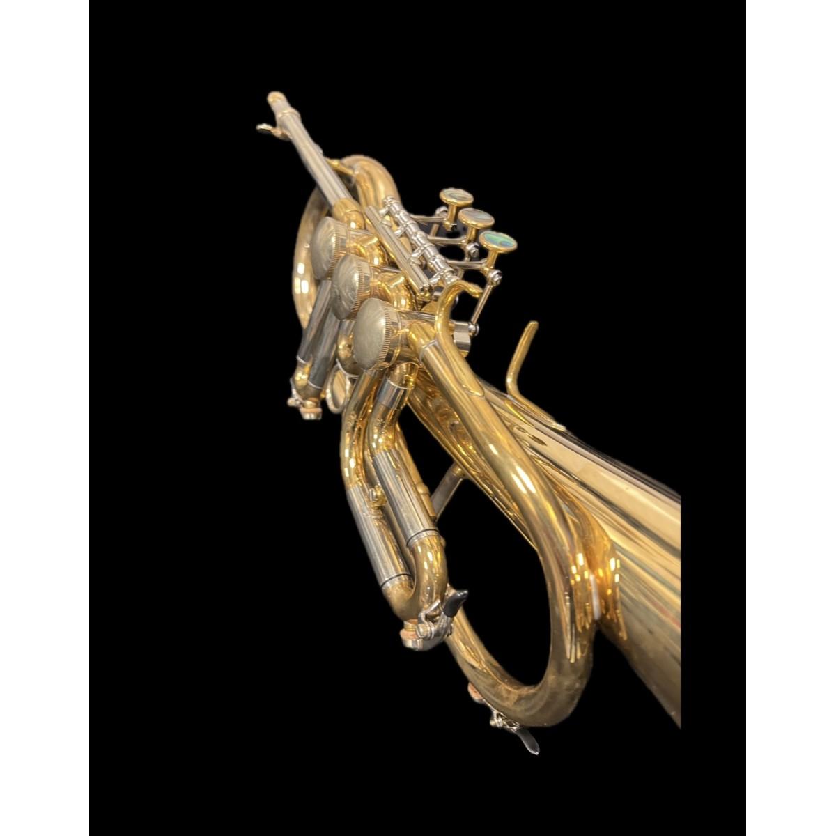 Schagerl flicorno soprano killerking sn scy 13811 raw brass