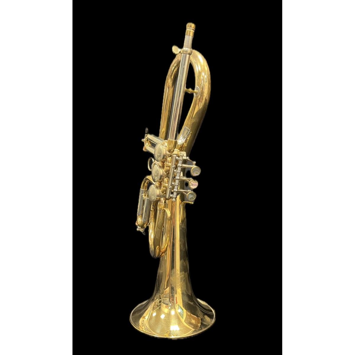 Schagerl flicorno soprano killerking sn scy 13811 raw brass