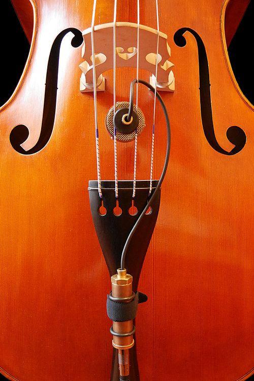 Ear trumpet labs nadine