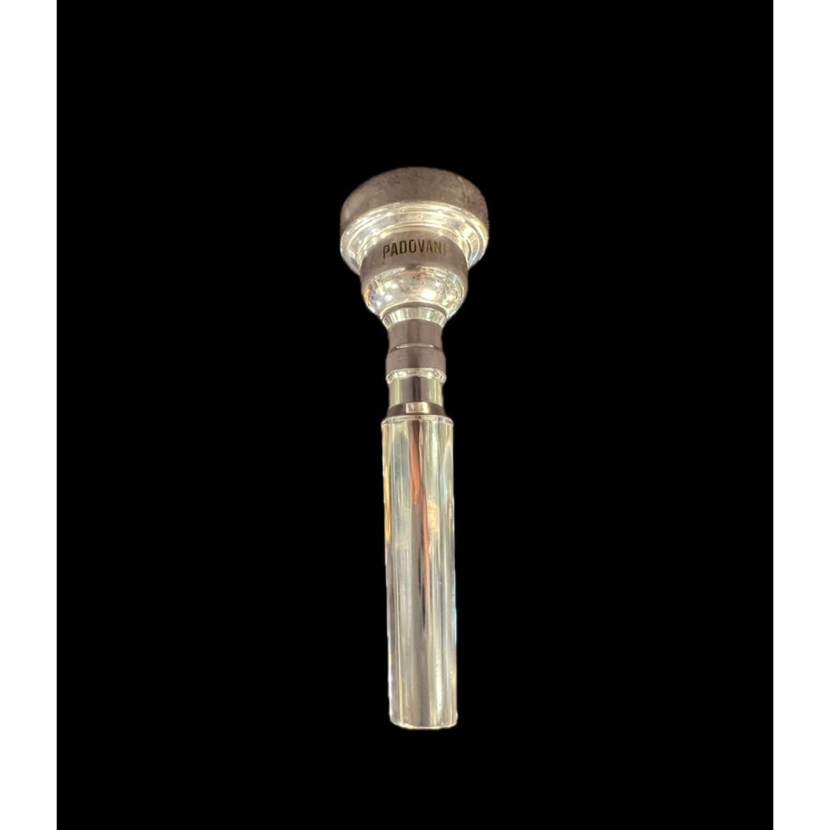 Padovani signature pgd bocchino per tromba