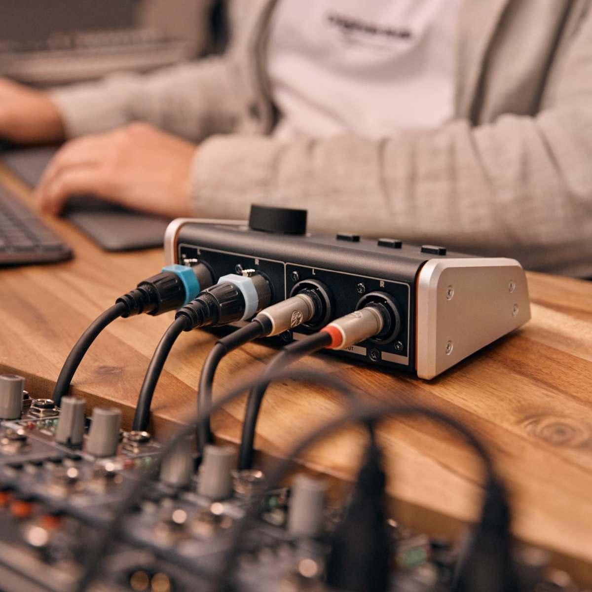 PALMER MONICON M G2 - Controller monitor passivo per studio