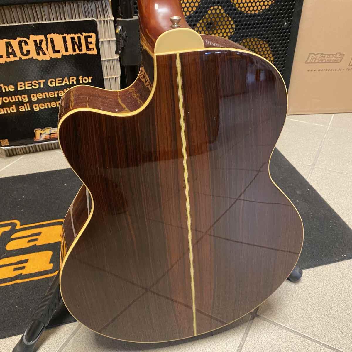 Landola basso acustico elettrificato