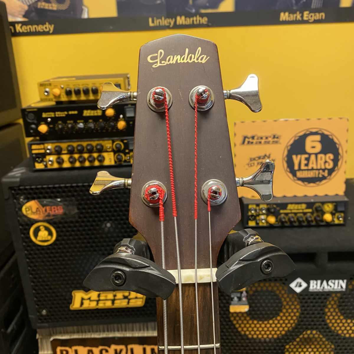 Landola basso acustico elettrificato