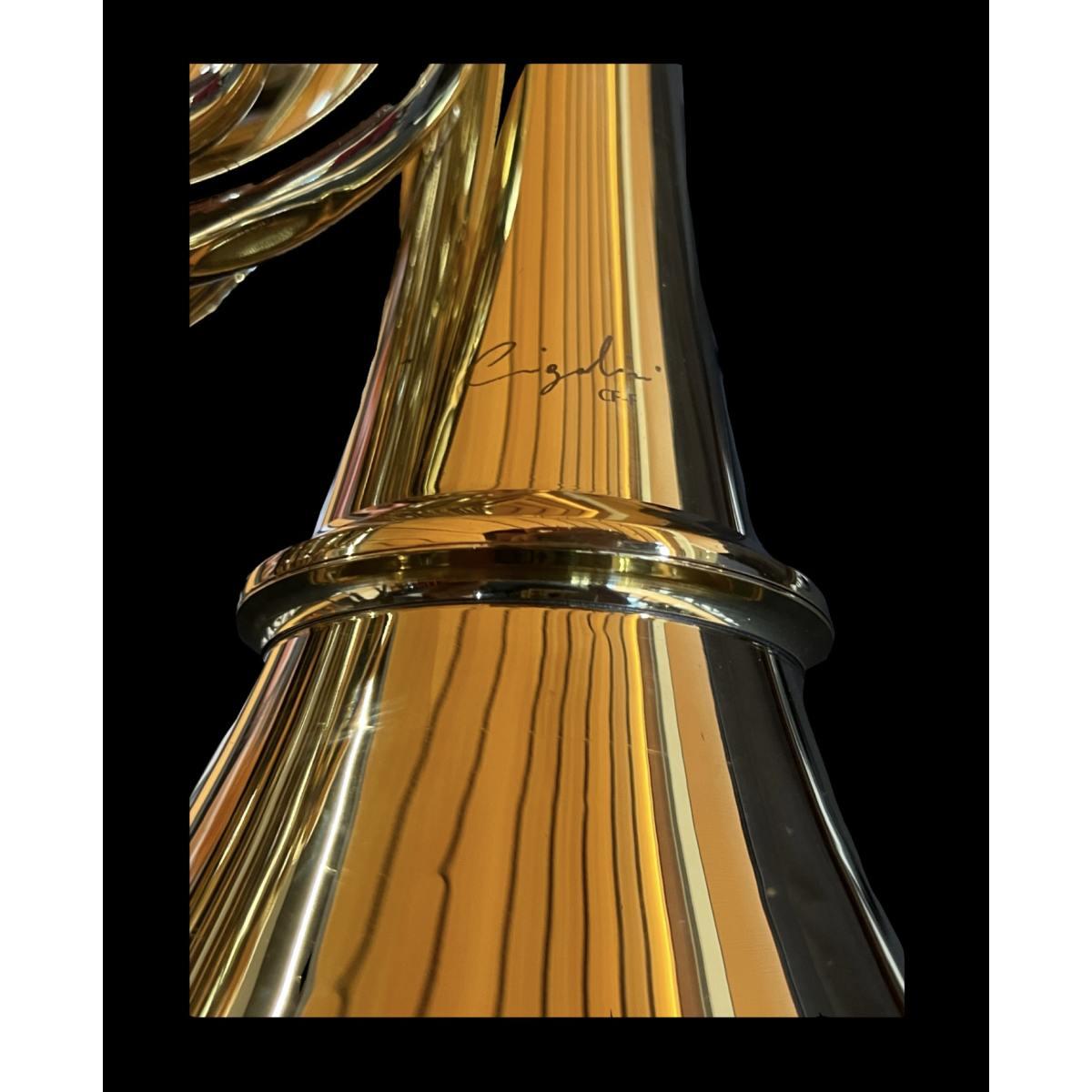 Cigalini cf-f corno francese in fa con custodia (b-stock)