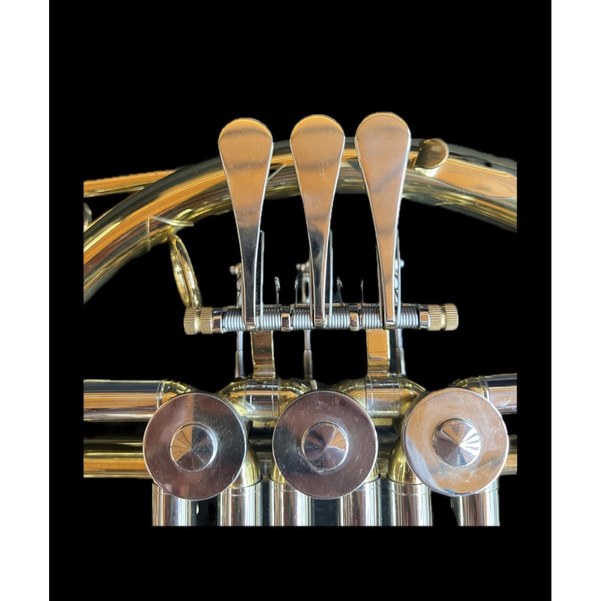 Cigalini cf-f corno francese in fa con custodia (b-stock)