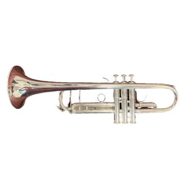 B&S CHALLENGER II tromba sib argentata s/n 3137/2 CON CUSTODIA ORIGINALE MAT.80147 (usato)