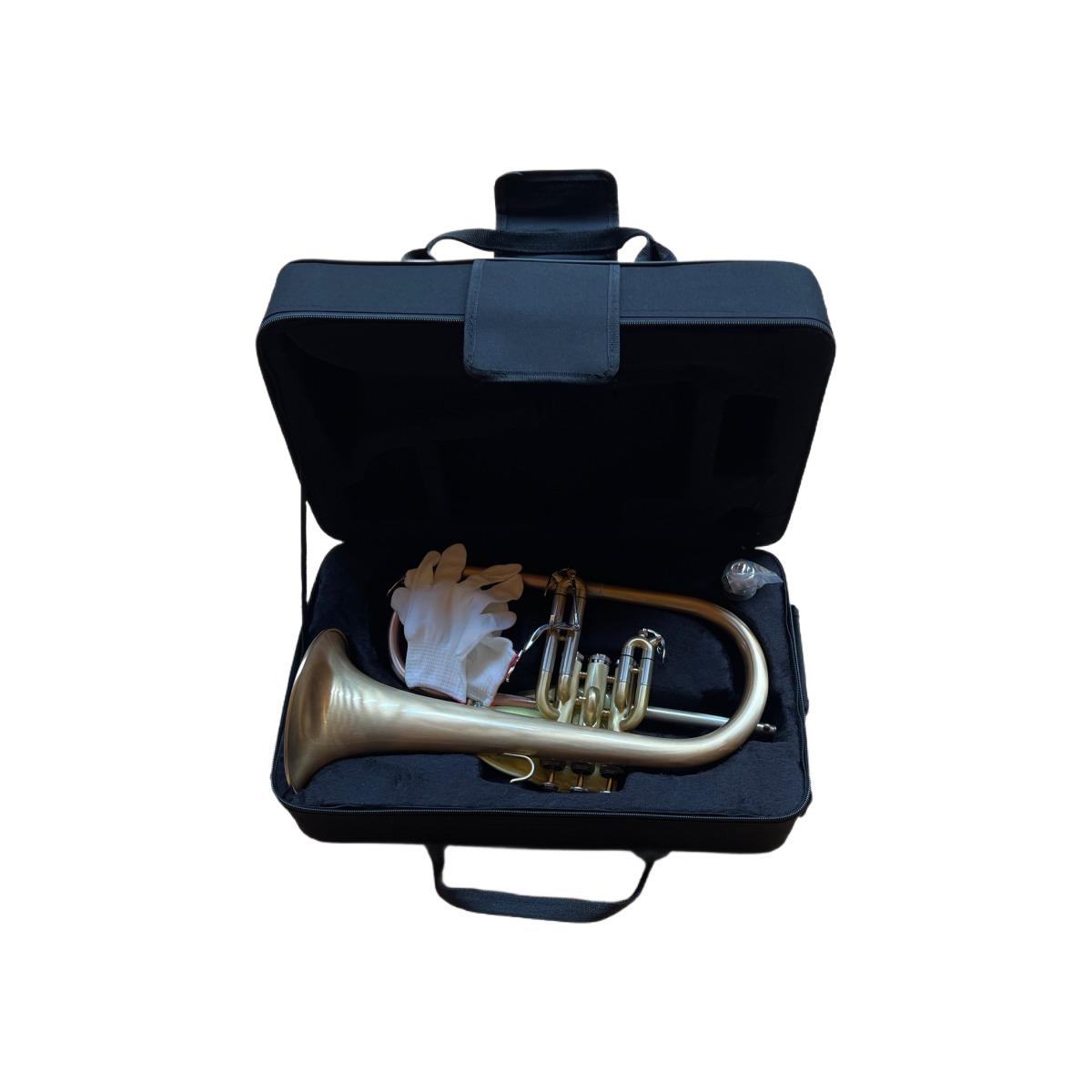 BBRASS FH819GL FLICORNO IN Bb GOLD BRASS